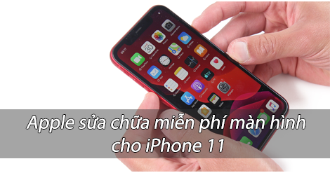 Apple tung ra chương trình sửa chữa miễn phí màn hình cho iPhone 11