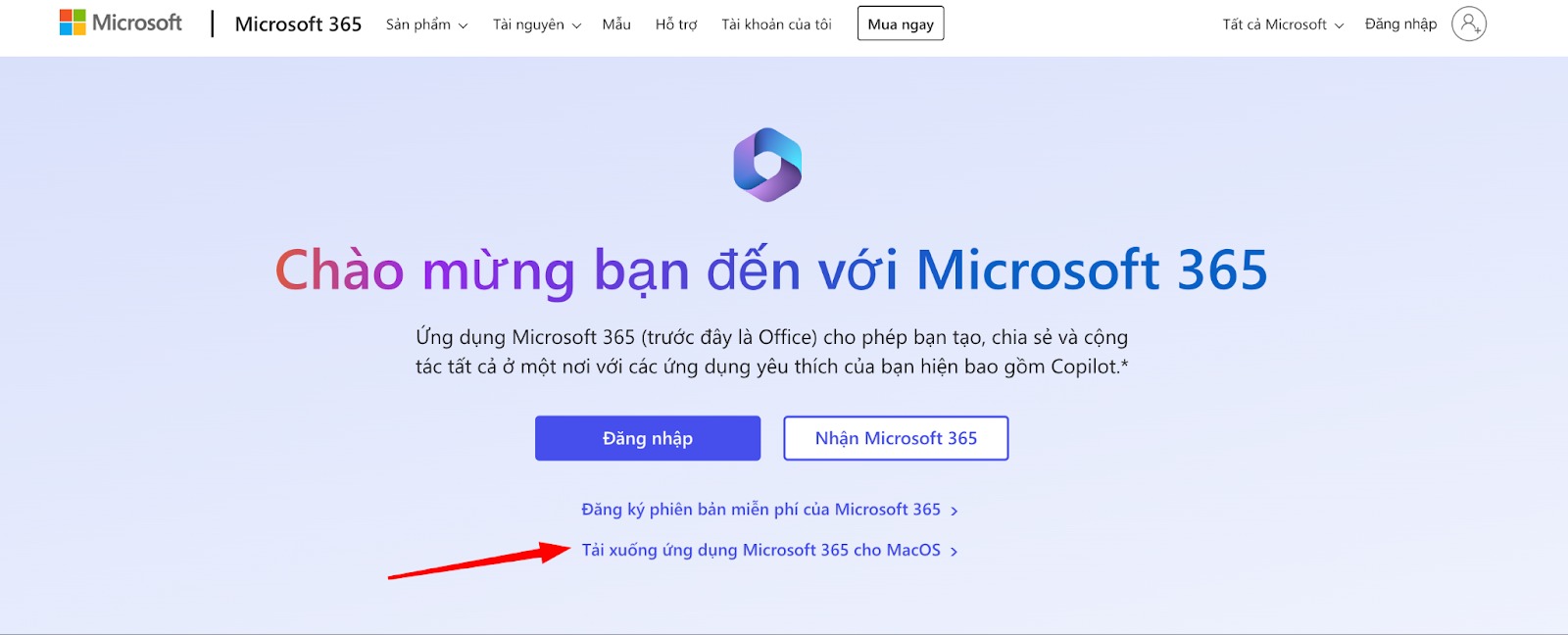 Hướng dẫn cài Office 365 cho MacBook M1 chi tiết