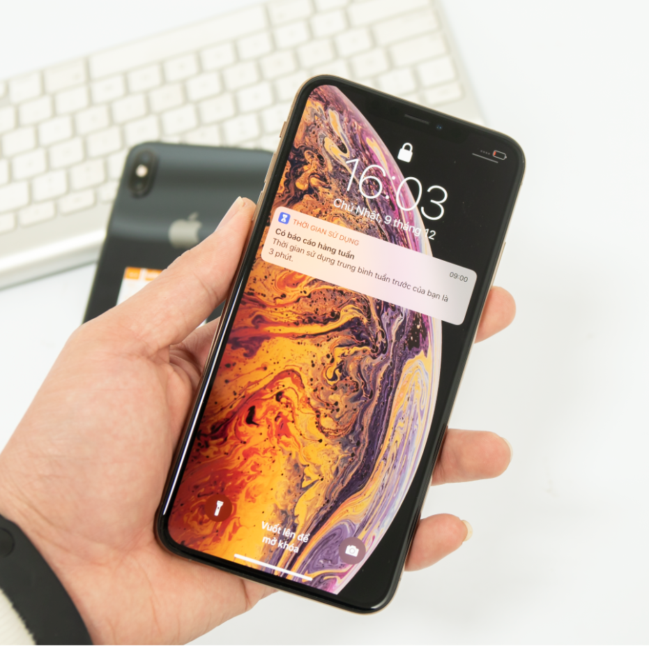 Điện thoại Apple iPhone Xs Max - 256GB - 99%