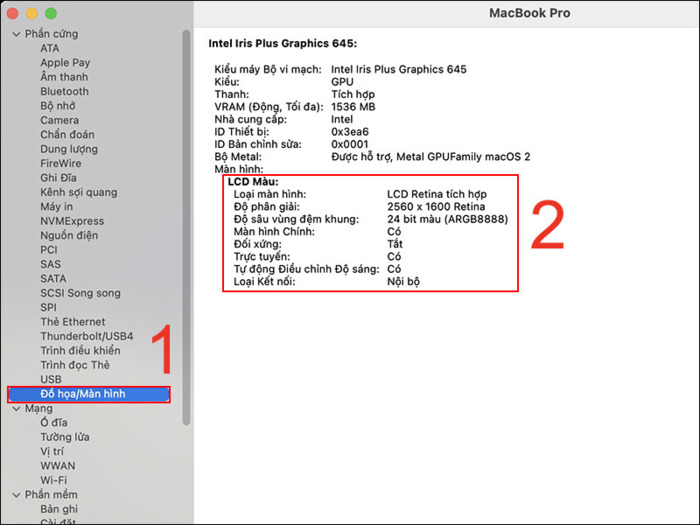 Thông tin về màn hình MacBook trong mục Đồ họa/Màn hình