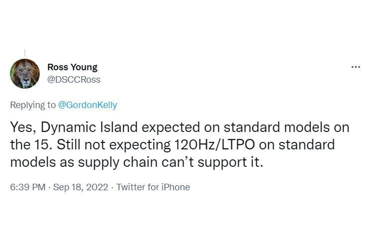 Tweet của Ross Young về việc iPhone 15 có Dynamic Island nhưng không có 120Hz