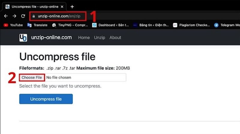 Truy cập Unzip Online và chọn “Choose File” 