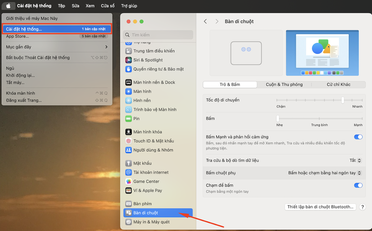 Chọn menu Apple > System Preferences > Trackpad