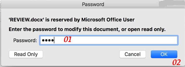 mật khẩu đặt cho mục “Set a password to modify this document/Đặt mật khẩu để sửa đổi tài liệu này