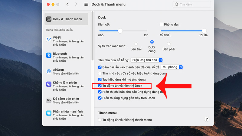 Chọn “Tự động ẩn và hiển thị Dock”