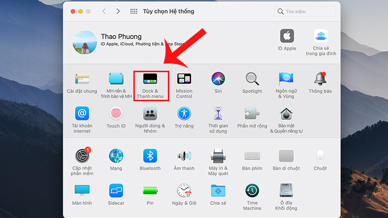 Tùy chọn Dock tại System Preferences