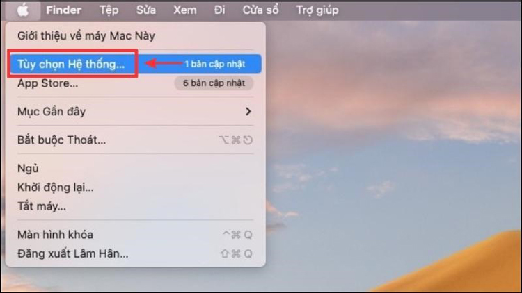 Bước 1: Bạn vào biểu tượng quả táo và chọn “Tùy chọn hệ thống”.