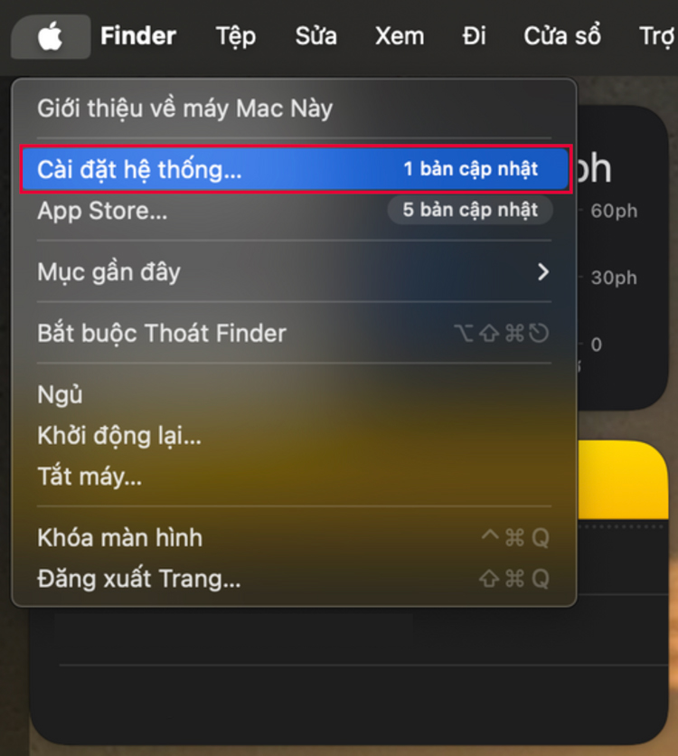 Nhấn chọn Cài đặt hệ thống (System Preference)