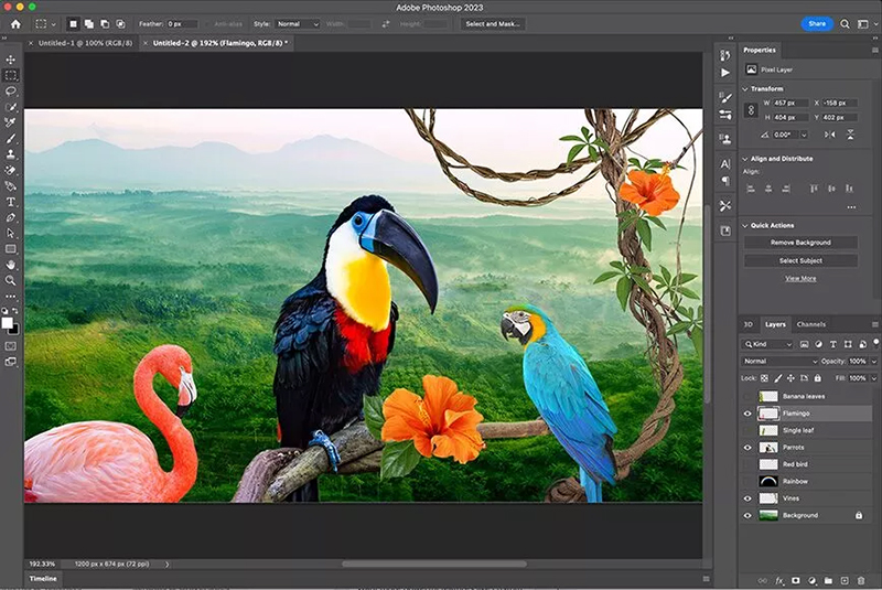 Photoshop - chuyên chỉnh sửa ảnh